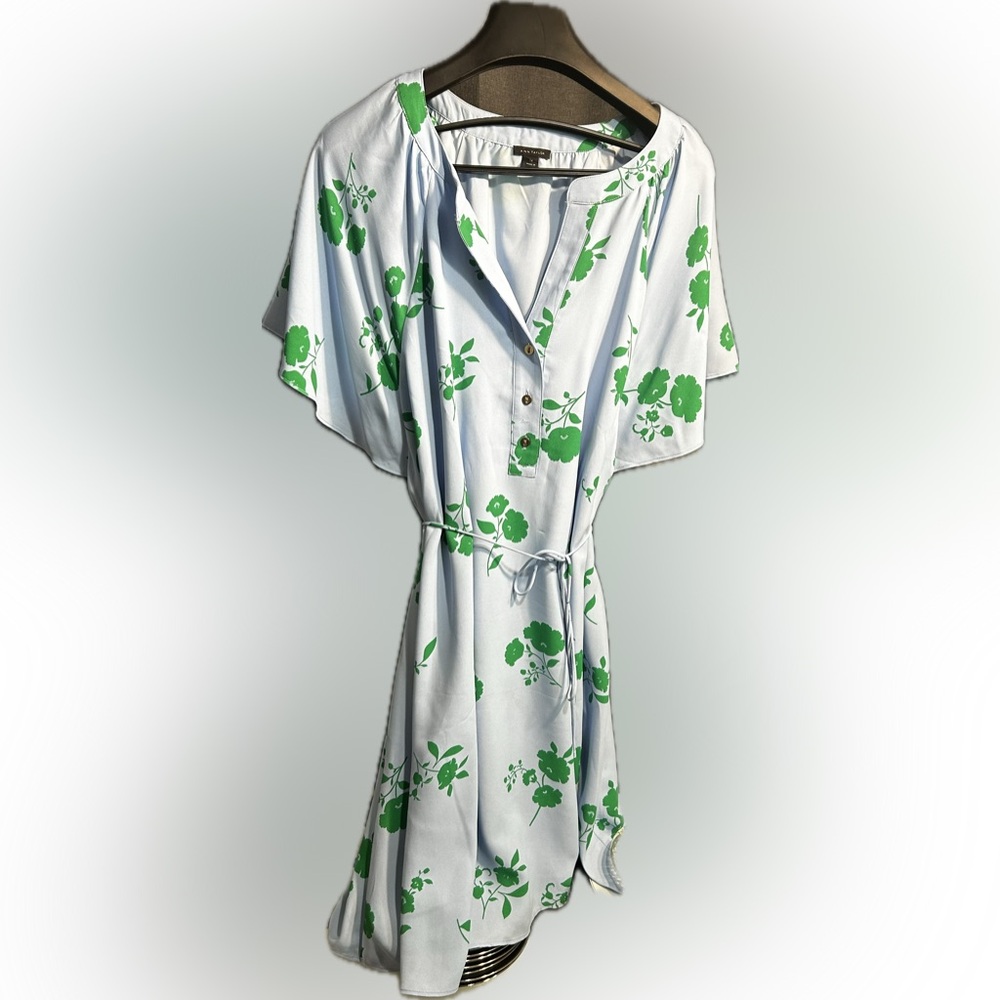 Ann Taylor dress Light Blue green floral print spring brunch size 14